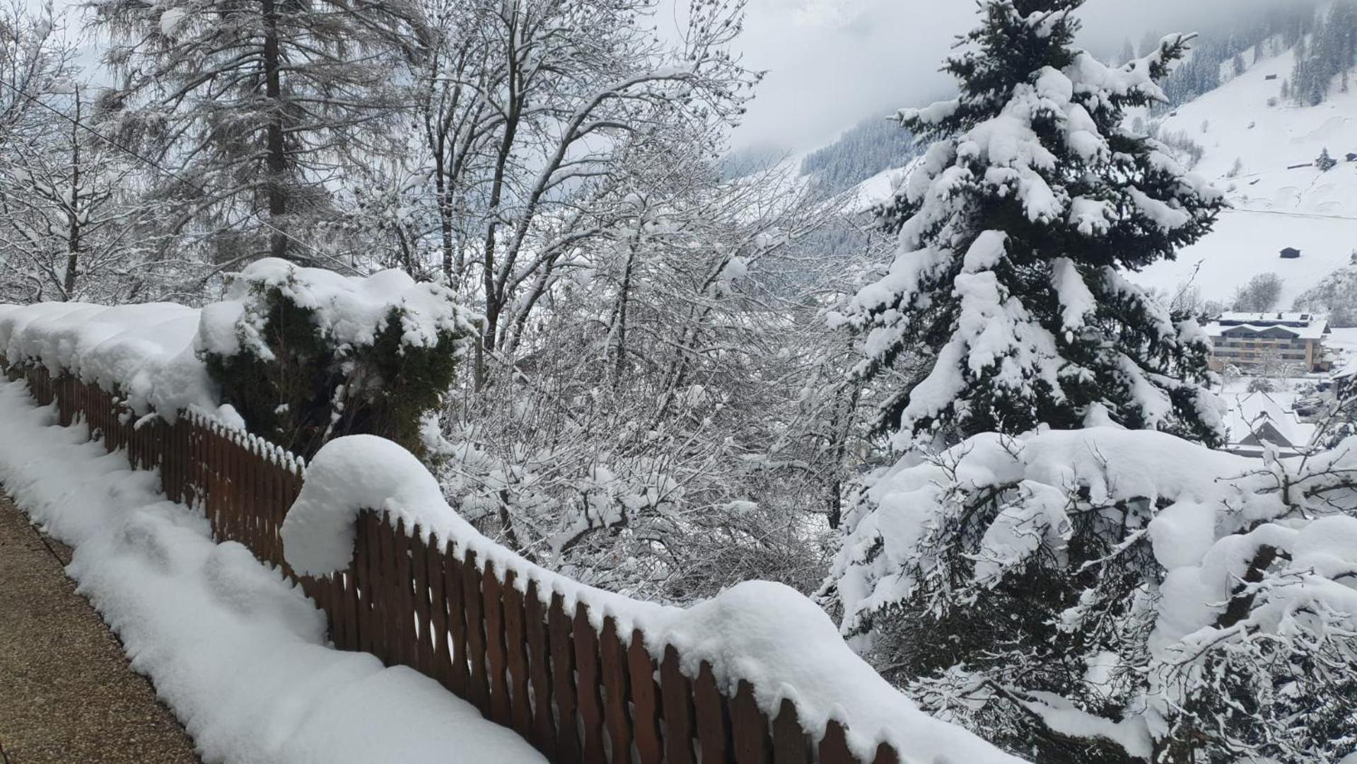 Pension Terra Neustift im Stubaital Kültér fotó