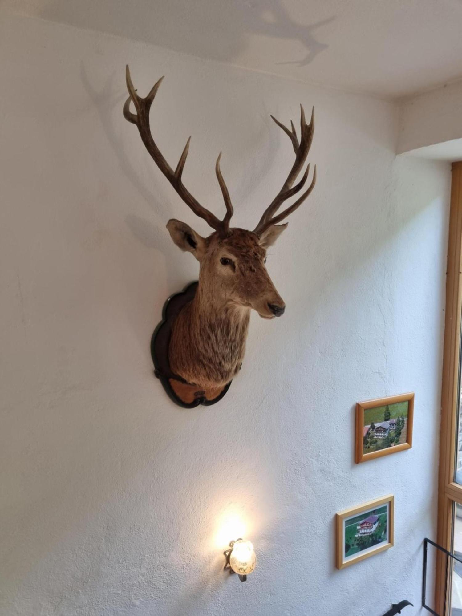 Pension Terra Neustift im Stubaital Kültér fotó